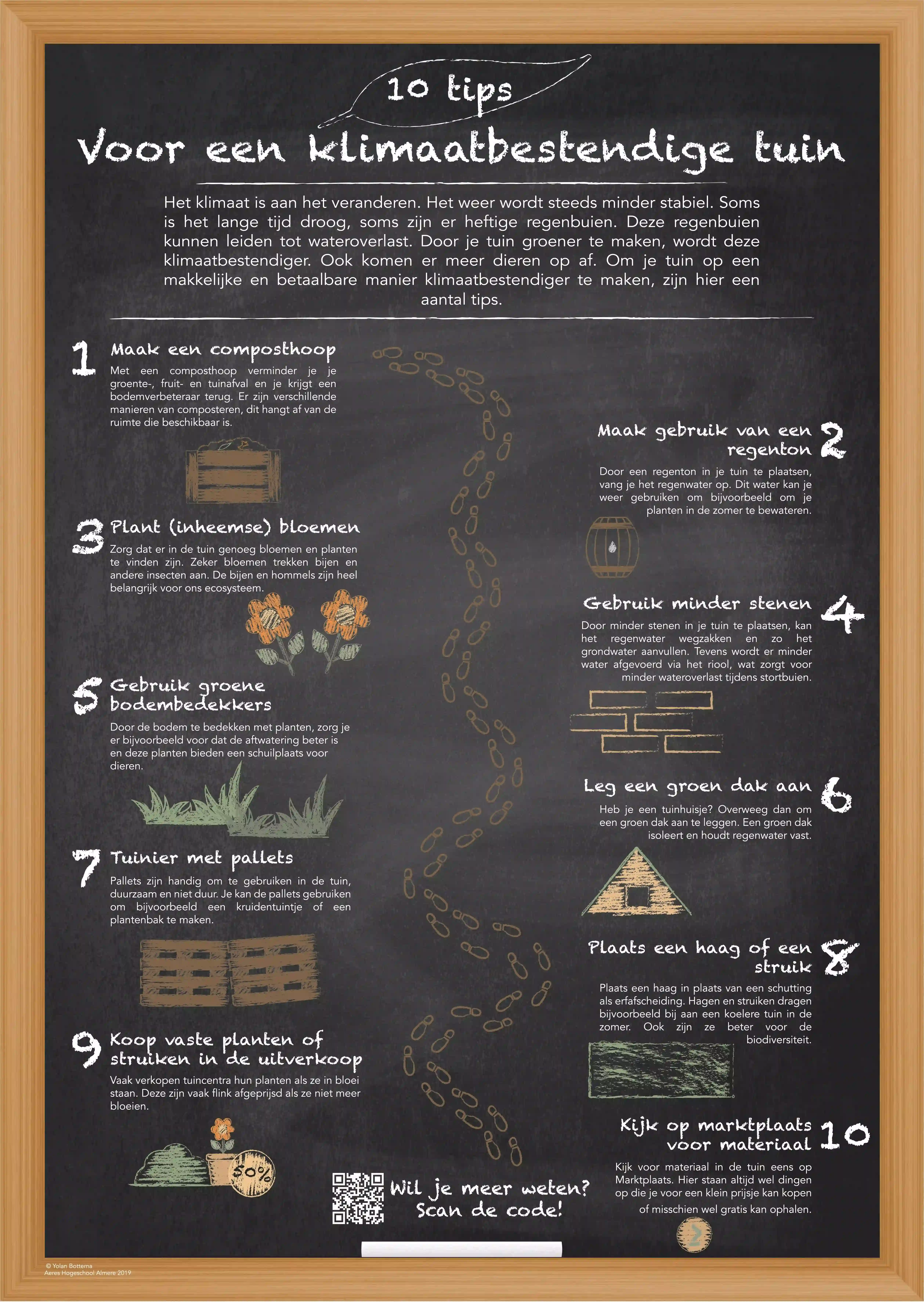 infographic